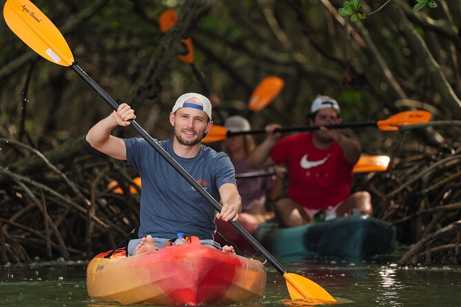 Sarasota Mangrove Tunnel Guided Kayak Adventure - Overview of the Adventure