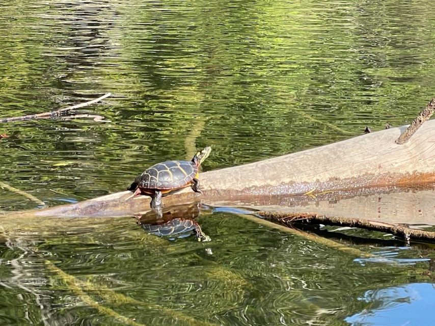 Scenic Sebago Lake Historical Tour - Tour Overview and Pricing