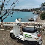 Scooter Rental Overview Of Scooter Rental Service