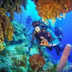 Scuba Diving At Catalina Island 2 Tank | 2 Spots Diving Site Overview