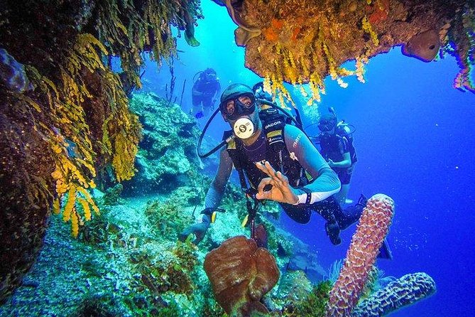 Scuba Diving at Catalina Island - 2 Tank | 2 Spots - Diving Site Overview