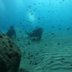 Scuba Diving For Beginners Overview Of The Experience