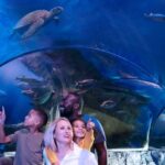 Sea Life Charlotte Concord Aquarium General Admission General Admission Ticket Information