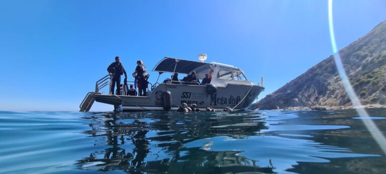 Sesimbra: Double Dive On A Marine Reserve Abundant Marine Life