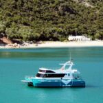 Setúbal: Dolphin Watching Tour Tour Overview