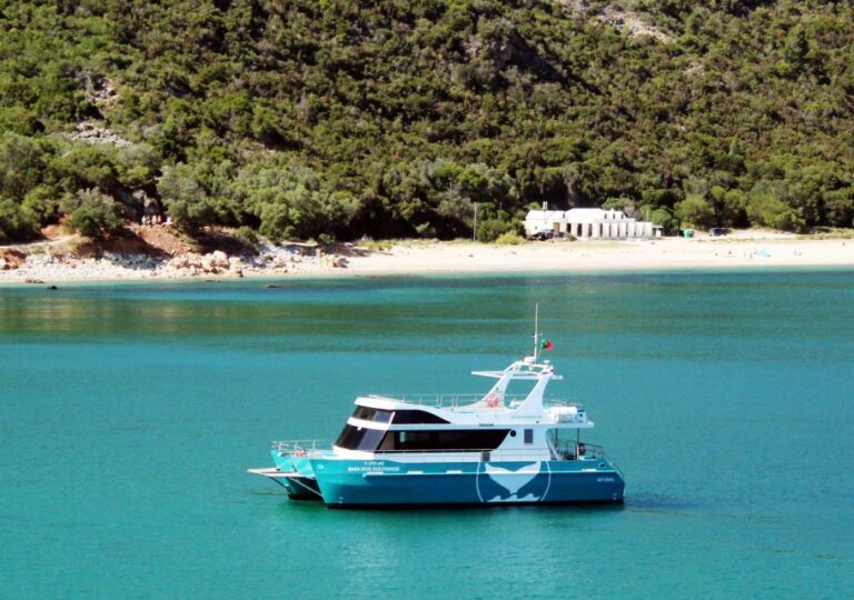 Setúbal: Dolphin Watching Tour Tour Overview