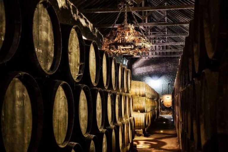 Setúbal Wine Tour: Discover The Moscatel Wine Pickup Locations And Itinerary