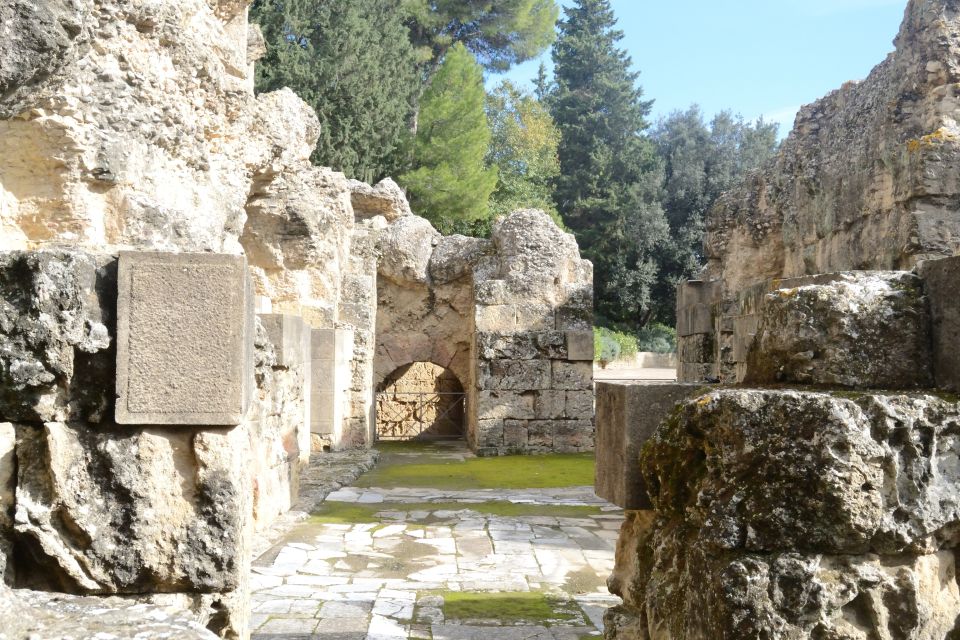 Seville: Roman City of Itálica 2.5-Hour Tour - Tour Overview