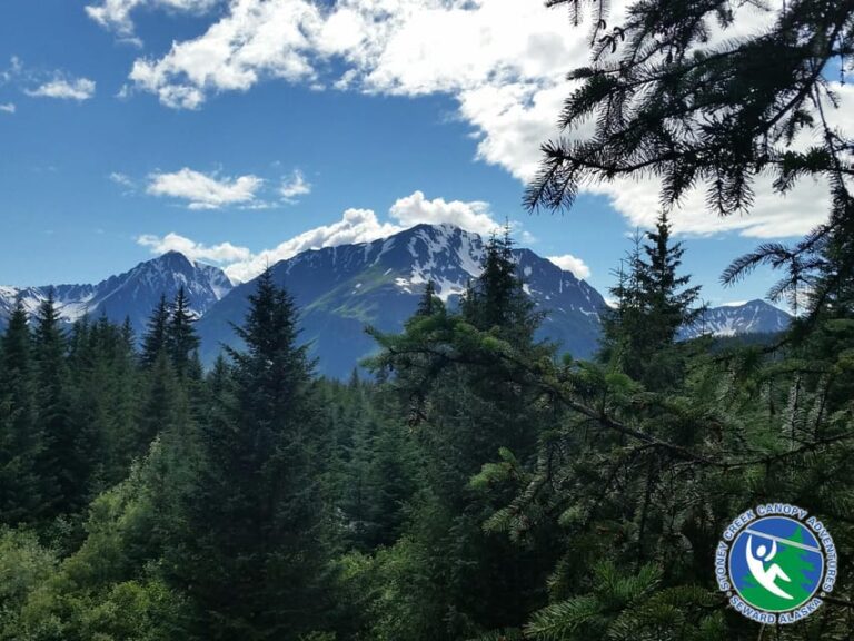 Seward: Stoney Creek Canopy Tour With Zipline Discovering Alaskas Old Growth Forests