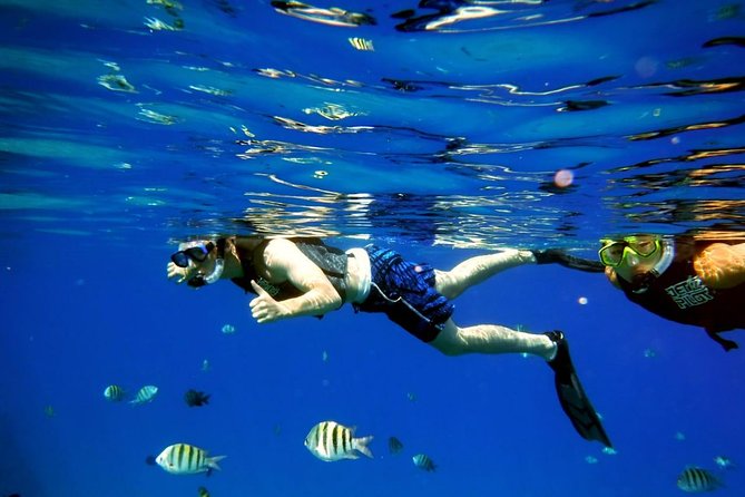 Shared 2 Hour Sosua Bay Snorkeling With Professional Guide Overview Of The Experience