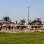 Sheikh Faisal, Camel Race Track Visit Tour Inclusions