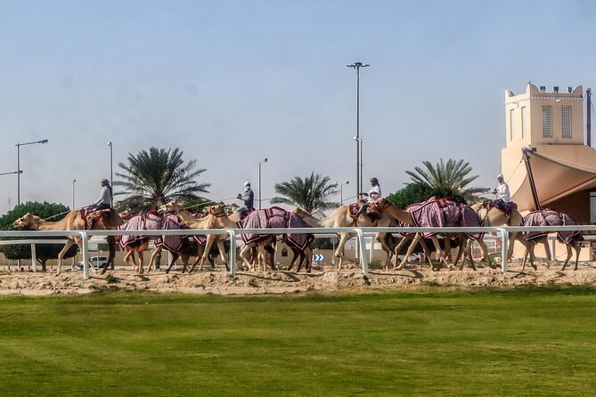 Sheikh Faisal, Camel Race Track Visit - Tour Inclusions