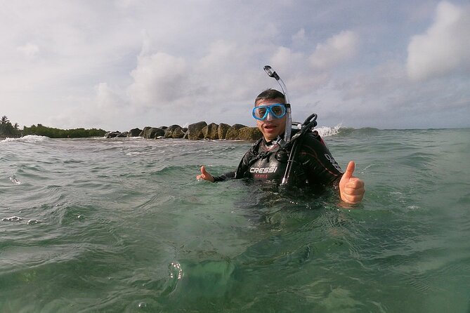 Shore Dive Aruba For Certified Divers Meeting Point Location