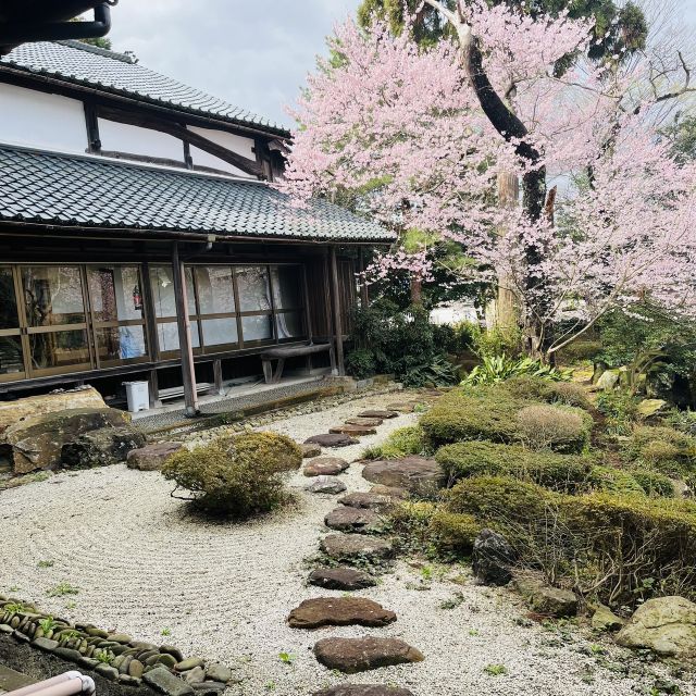 Silence Retreat At A Temple With English Speaking Monk Overview And Pricing