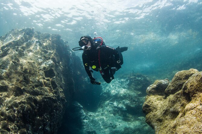 Single Scuba Try-Dive in Puerto Del Carmen - Small Groups - 2 Hours - Activity Overview