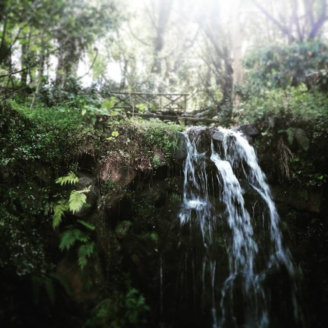 Sintra: Kingdom Of Love Private Walking Tour With Historian Tour Overview And Details