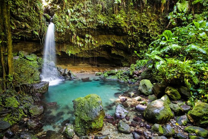 Skip the Line: Admission Ticket to Emerald Pool Nature Trail - Overview