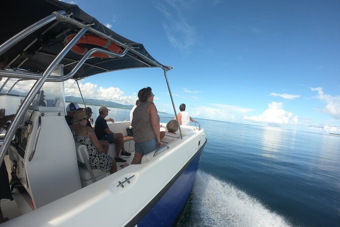 Small Day Cruise (Islet, Mangrove, Coral Reef) - Tour Details