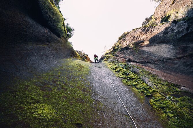 Small-Group Half-Day Canyoning in La Orotava - Meeting and Pickup