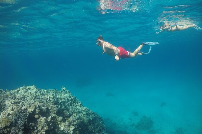 Snorkeling and Diving to Ras Mohamed And White Island by VIP Boat - Included Amenities