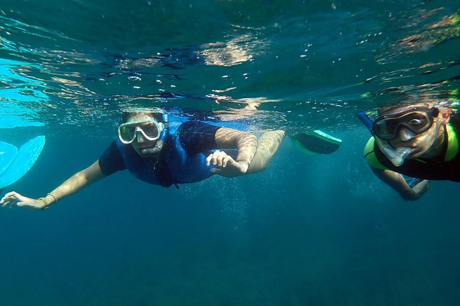 Snorkeling Excursion in Tabarca Island - Meeting and Pickup Details