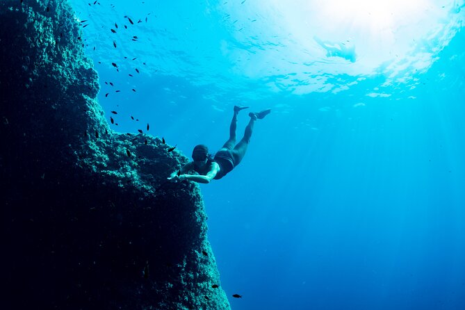 Snorkeling With Marine Biologist Expert From Sorrento - Overview of the Snorkeling Experience