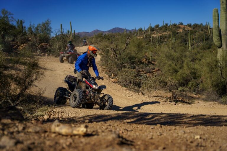 Sonoran Desert: Beginner Atv Training & Desert Tour Combo Overview Of The Experience