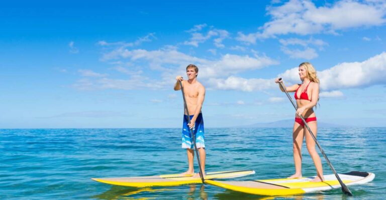 South Maui: Makena Bay Stand Up Paddle Tour Overview Of The Sup Tour