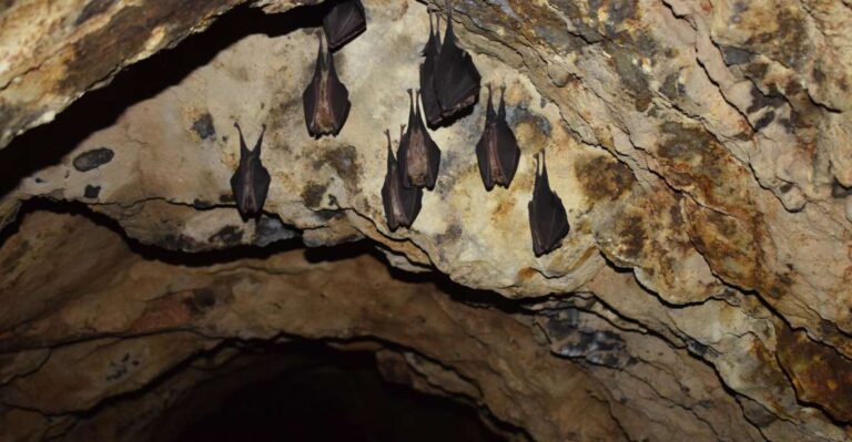 Speleology In The Arouca Geopark´s Tungsten Mines Activity Overview