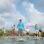 Stand Up Paddleboard Eco Tour Overview Of The Experience