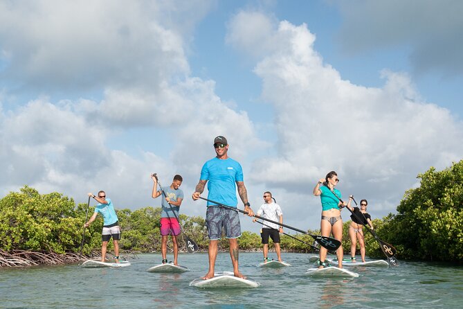 Stand up Paddleboard Eco Tour - Overview of the Experience