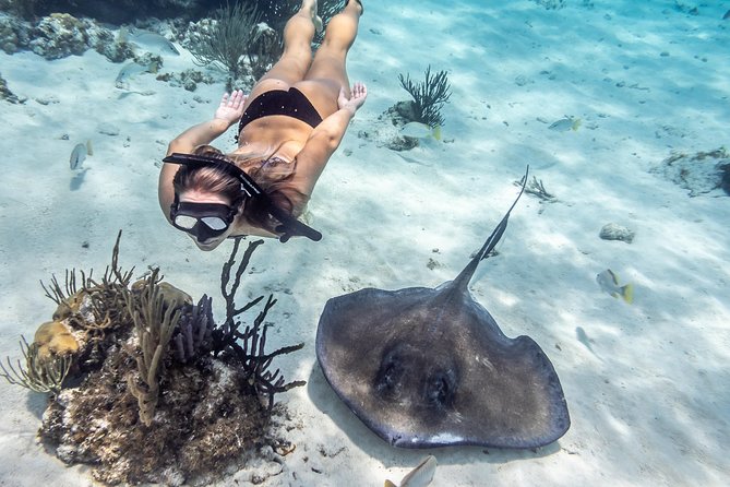 Starfish Point, Stingray City-Sandbar & Coral Gardens - Visiting Stingray City-Sandbar