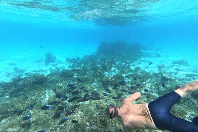 Stingray City, Star Fish Point And Snorkeling Private Boat Tour Pickup And Meeting Point