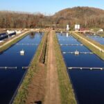 Sturgeon Fish Farm Visit And Caviar Master Class Tasting In Neuvic Overview