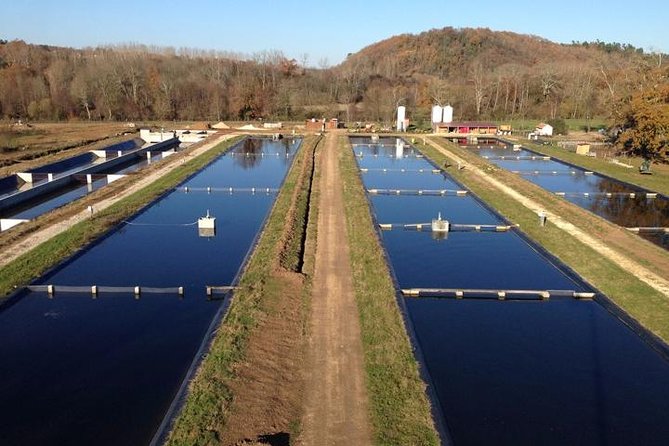 Sturgeon Fish-Farm Visit and Caviar Master Class Tasting in Neuvic - Overview