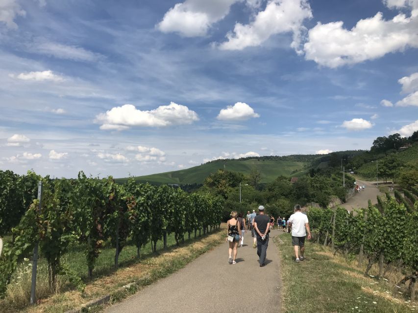 Stuttgart: 2-Hour Vineyard Hike With Tastings - Overview of the Vineyard Hike