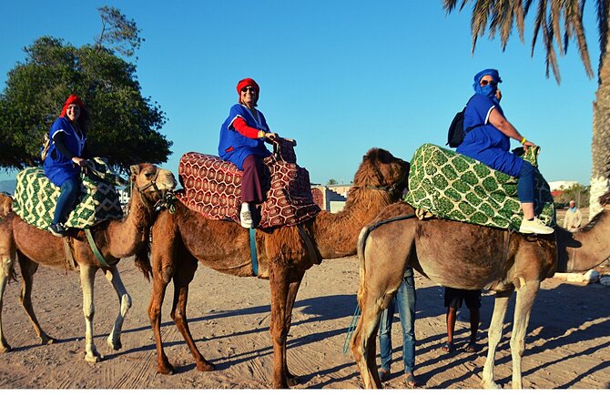 Sunset Camel Ride and Barbecue Dinner in Agadir - Experience Highlights