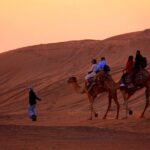 Sunset Evening Safari,camel Ride,live Shows And Bbq Dinner With No Hidden Charge Dune Bashing And Sandboarding