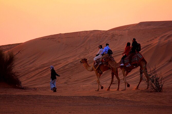 Sunset Evening Safari,Camel Ride,Live Shows and BBQ Dinner With No Hidden Charge - Dune Bashing and Sandboarding