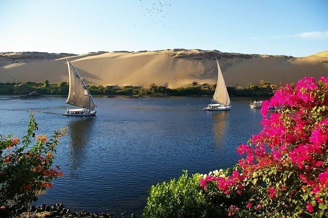 Sunset Felucca Ride With Banana Island Overview Of The Tour