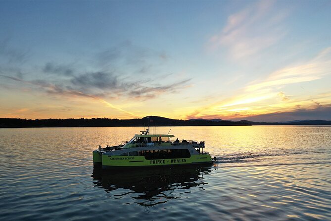 Sunset Whale Watching Adventure From Victoria - Included Features