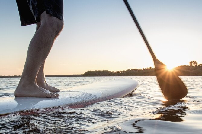 SUP Paddle Board Rentals - Activity Overview