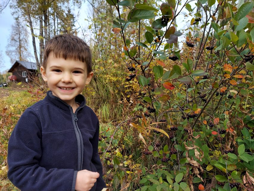 Talkeetna: A Walk in the Woods...with Reindeer! - Activity Overview