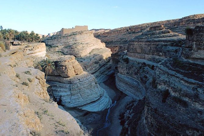 Tamerza Canyon Oasis Tour - Tour Overview