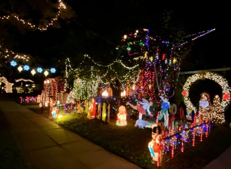 Tampa: Night Of Lights Tour By Electric Golf Cart Tour Overview