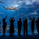 Tampa: The Florida Aquarium Ticket Ticket Information