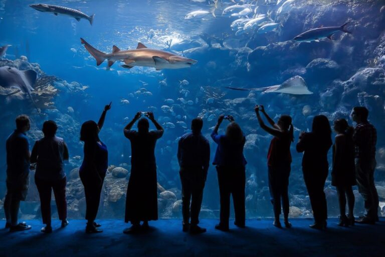 Tampa: The Florida Aquarium Ticket Ticket Information