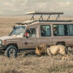 Tanzania Wildlife Encounters 6 Days Diverse Ecosystems And Wildlife