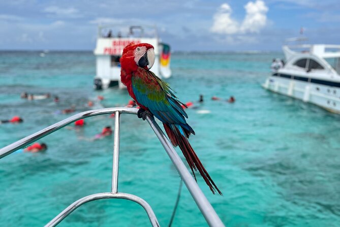 The Best Party Boat With Snorkeling Punta Cana - Excursion Schedule and Duration