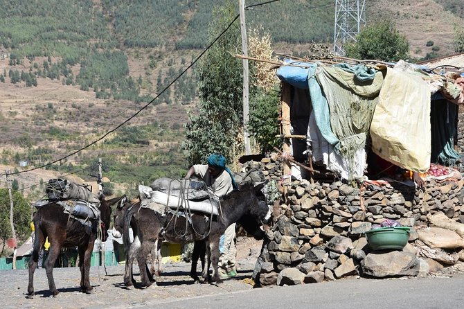 The Best Way To Discover Addis Ababa Explore Mount Entoto